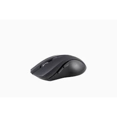 Pro link Wireless Mouse PMW6005